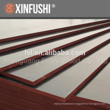 15/18mm Film faced plywood for African market made in China